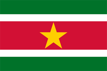 International Auto Transport to Suriname