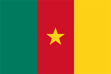 International Auto Transport to Cameroon
