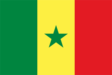  International Auto Transport to Senegal